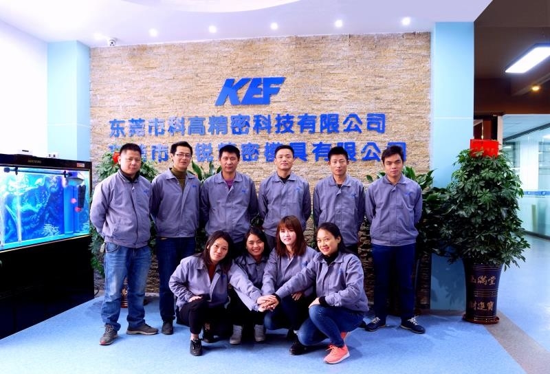 중국 Dongguan Kegao Precision Technology Co., Ltd. 회사 프로필